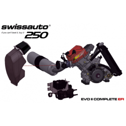 Swissauto 250 VT1 EFI, 4-Takt Motor, Komplettpaket