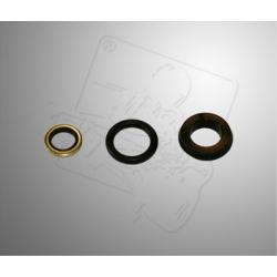 OIL SEAL KIT BRAKEPUMP RACING