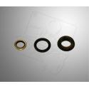 OIL SEAL KIT BRAKEPUMP RACING