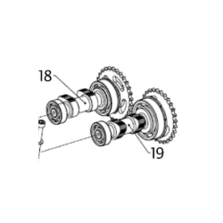 CAMSHAFT ASSEMBLY, EXHAUST