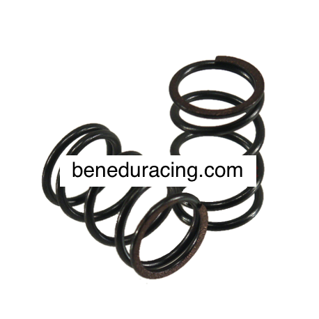 Valve spring hard (2 pieces_