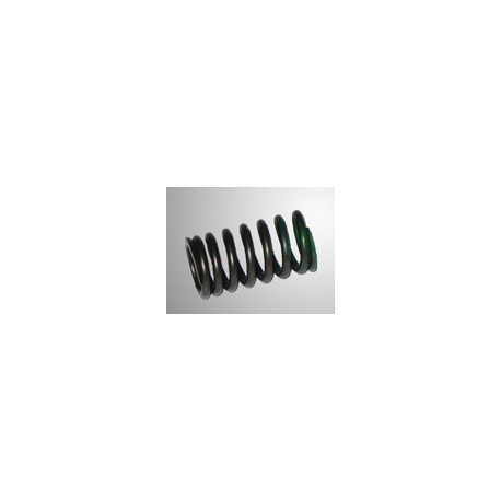 VALVE SPRING RK1