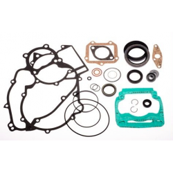 Gasket set DD2 Rotax Max