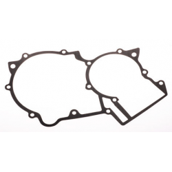 Carter Gasket DD2 Rotax Max