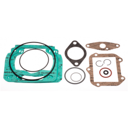 Gasket set Cylinder Rotax Max