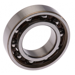 Balance Axle Bearing 6005TNH/C3