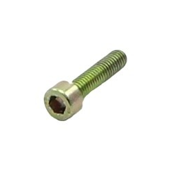 Powervalve Bolt EVO M6X25 Rotax Max