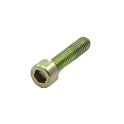 Powervalve Bolt M6X16 Rotax Max