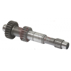 Primary shaft 24/19 T -  DD2 -  Rotax Max