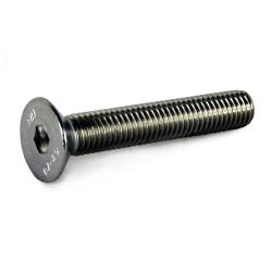 Alleen Screw M6 x 30   -   DD2 -  Rotax Max