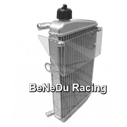 Radiator with Flap -  DD2 -  Rotax Max