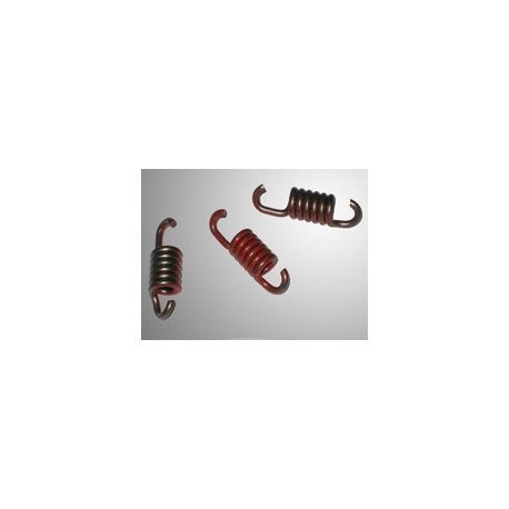 CLUTCH SPRING SET V2 RK1