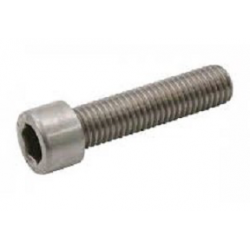 Inbus M5x10 - 20 pieces Iame X30