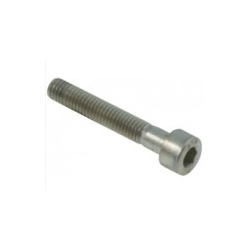 Inbus M5x10 - 20 pieces Iame X30
