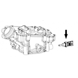 WATER TEMPERATURE SENSOR - EVO II - EFI