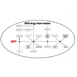  WIRING HARNESS EFI - EVO II