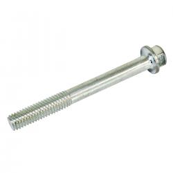 Screw 6x65  GX160/200