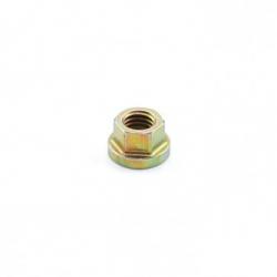 Cylinder Nut  M8  Rotax Max