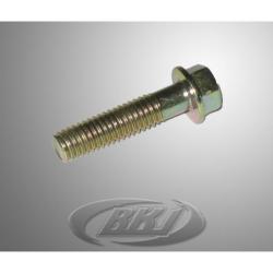 FLANGE BOLT SH 6X25