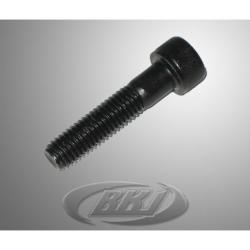 SOCKET BOLT M10X1.5X45 RK1