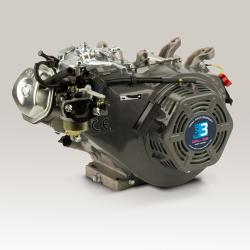 Kart engine DM 200cc - Evo3 with connecting rod bearings and wedge valves