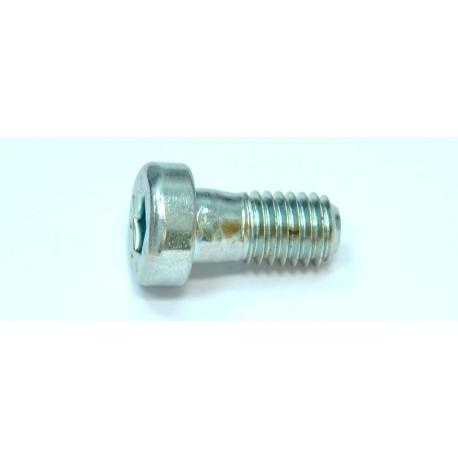 Starter ring screw M6 X 8mm