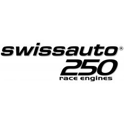 Workshop manual Swissauto250