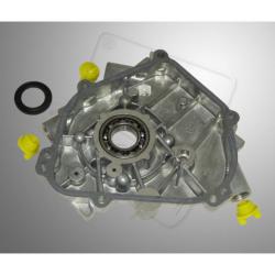 Crankcase cover B&S World Formula