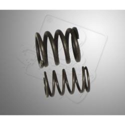 Valve spring B&S World Formula