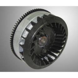 Flywheel B&S World Formula