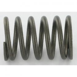 C-line valve spring GX160-200