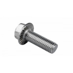 flange bolt sh 6x18mm