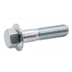 flange bolt 6x30mm