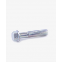 Flange bolt 6x45mm