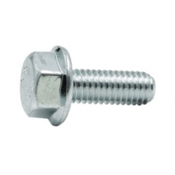 flange bolt 6x12mm