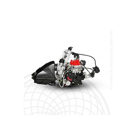 ROTAX 125 SENIOR MAX EVO – NUR MOTOR