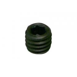 REAR AXLE BEARING BOLT ( INBUS )