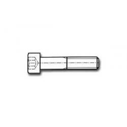 EXCENTER BOLT M4X8