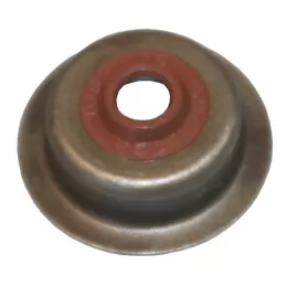 Tillotson Valve Seal