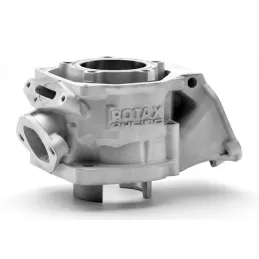 Rotax Max Cylinder New Type...