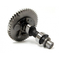 Valve & Camshaft Honda GX160/200cc