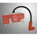 ignition & flywheel B&S World Formula