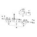 Crankshaft mini60 TM